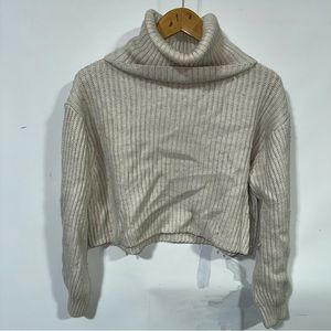 Babaton Aritzia Turtleneck sweater